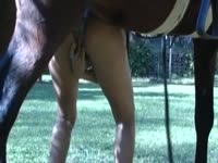Brunette is able to insert stallion's prick in her tight ass